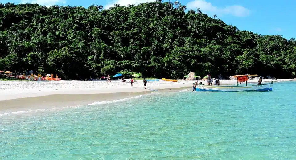 흰 모래와 청록빛 바다의 Florianópolis 해변