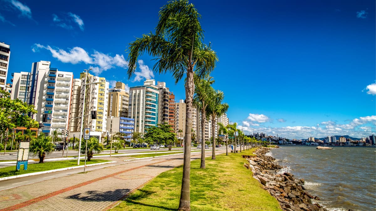 야자수와 고층 빌딩의 현대적 Florianópolis 해안로